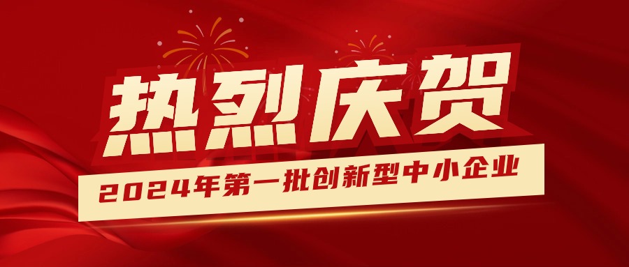 喜報！集團獲認定為2024年第一批創(chuàng)新型中小企業(yè) 