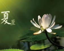 夏至節(jié)氣，廣西強(qiáng)壽藥業(yè)集團(tuán)提醒您注意防暑降溫